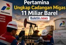 Dokument Buletin.news