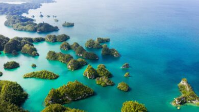 IStock