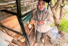 0 IMG 20260410 WA0236